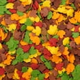 thumbnail image 1 of QUINS Feuilles d'Automne 600 g, 1 of 2