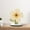 Sunflower, variant on Tongina Table Clock Mantel Clock Farmhouse Clock Non Ticking Decoration Tabletop Ornament for Bookshelf Countertops Home Office Desk