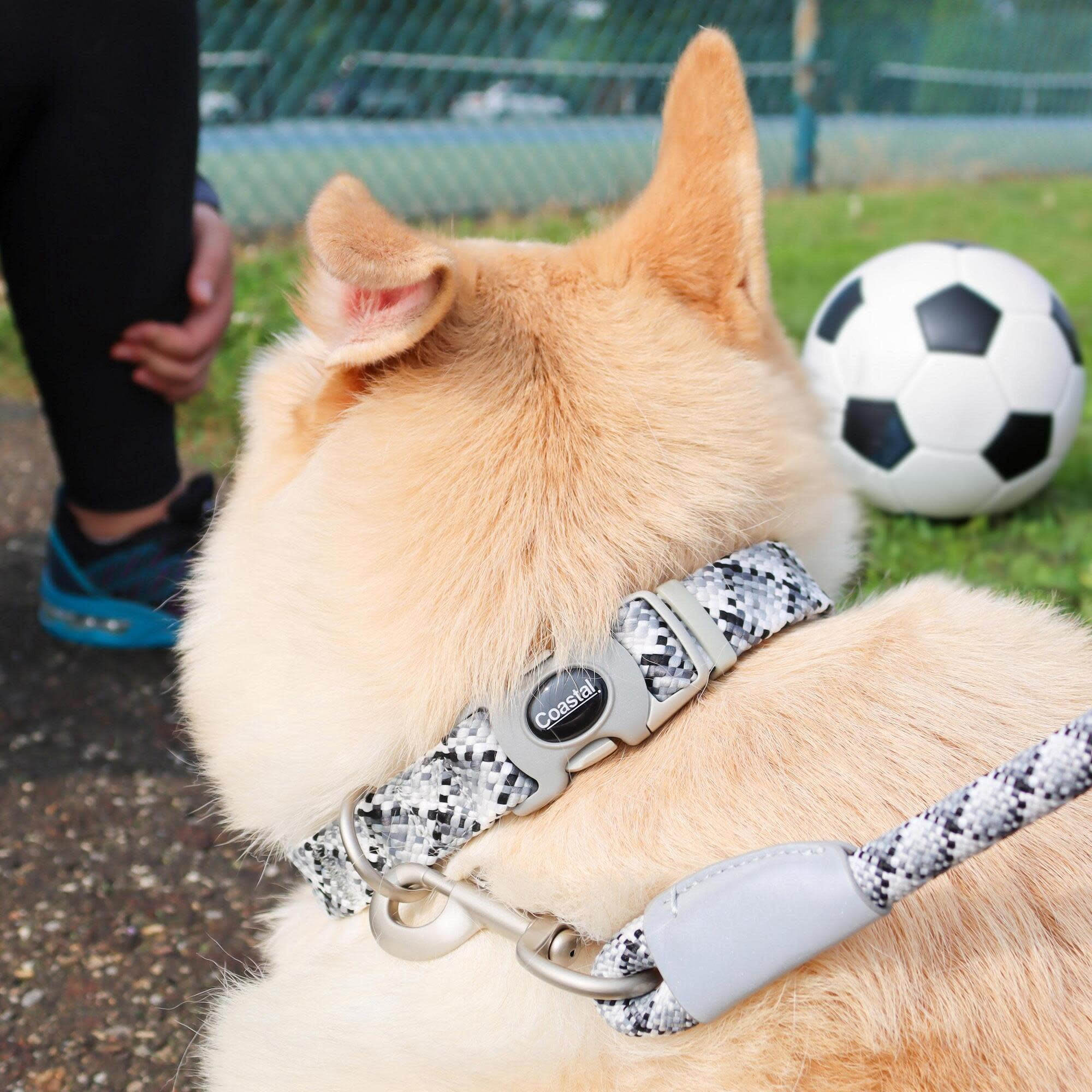 Pro: Active Woven Reflective Dog Collar - Cobalt Crossed - Small - 5/8", Adjustable 8-12" Neck, Lightweight & Breathable, Pet Safety Reflective Strips