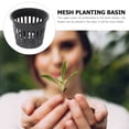 thumbnail image 2 of 10PCS Plastic Succulent Pot Mini Mesh Multi-small Planting Basin Hydroponic Mesh Cup Round Succulent Flower Pot Garden Accessories (Black), 2 of 7