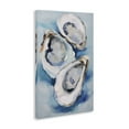 thumbnail image 4 of Stupell Industries Oyster Shell Trio Animals & Insects Painting Gallery Wrapped Canvas Art Print Wall Art, 24 x 36, 4 of 8