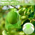 thumbnail image 3 of 50/100pcs Fruit Protection Bags , Green Netting Cover Bags Drawstring Mesh Fruit Protectors Pest Barrier for Grapes Mango Fruit Trees Veggies Garden, 3 of 6