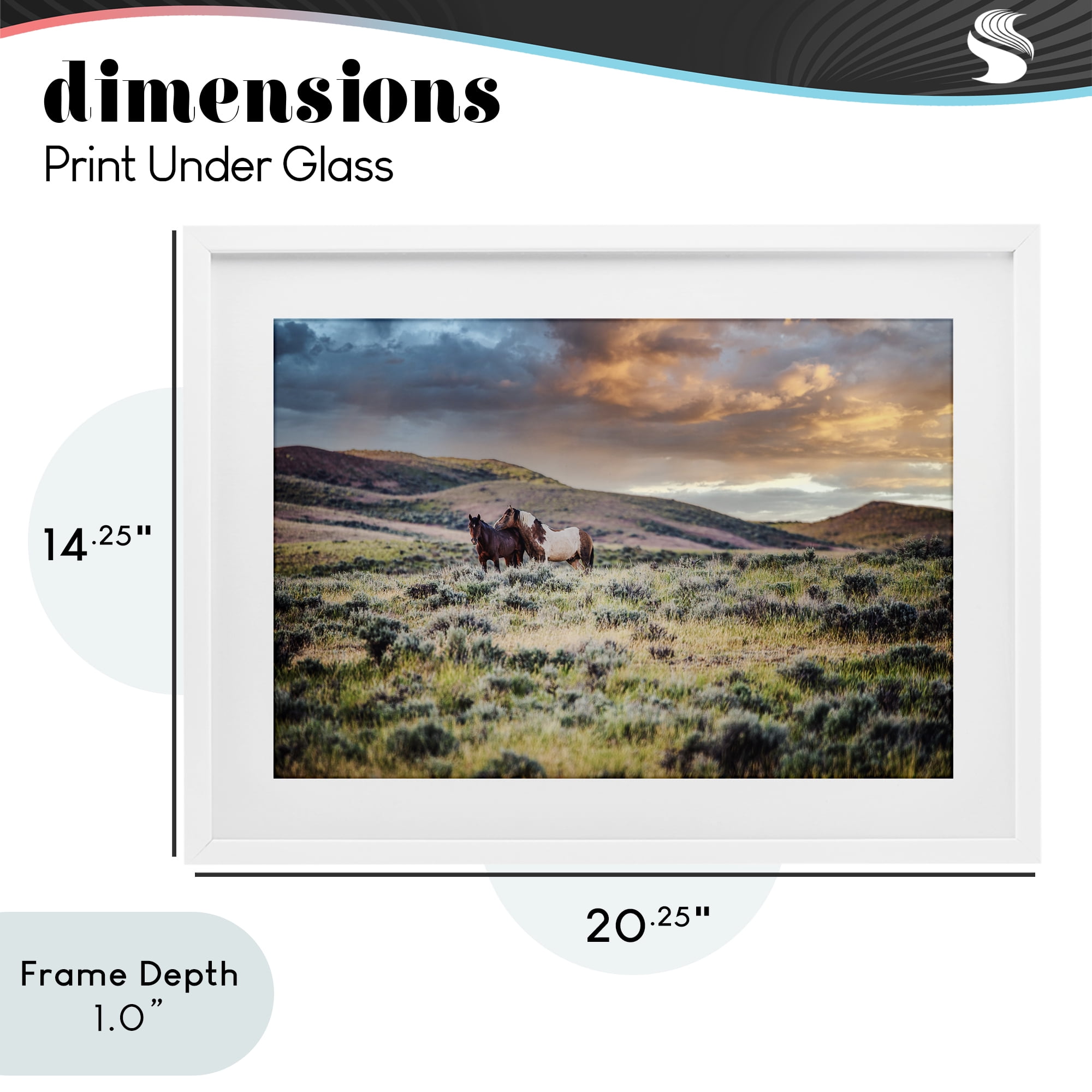 Stupell Industries Stay Close Horses White Framed Print Under Glass, design by Tim West