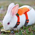 thumbnail image 2 of 4 Pcs Cute Vest Harness Rabbit Leash  Adjustable Rabbit Leash Harness Jacket Suit Small Pet Anti-breakaway Adjustable Dog Leash Small Dog Walking Leash Suitable for Daily Pet Walks, 2 of 7