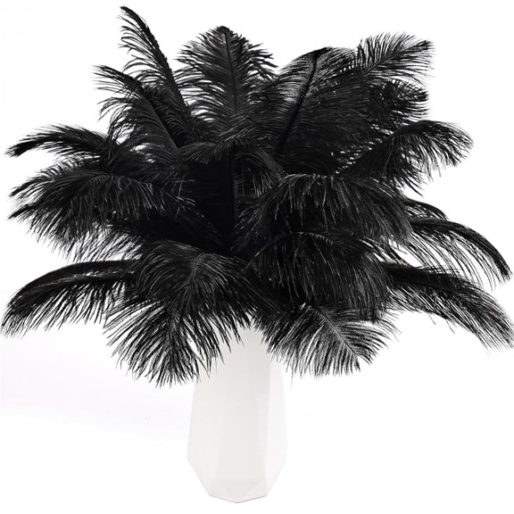 QZS Pack of 20 Ostrich Feathers Decoration,8-10Inch Natural Black Ostrich Feathers for Vase,Craft,Wedding,Home,Party,Christmas Centerpieces