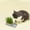 Gray, variant on 1pcs Cat Grass Planter Wheatgrass Planting Trays Hydroponic Cat Grass Growing Kits for Indoor Cats Soilless Organic Nursery Box Pet Grass Pot