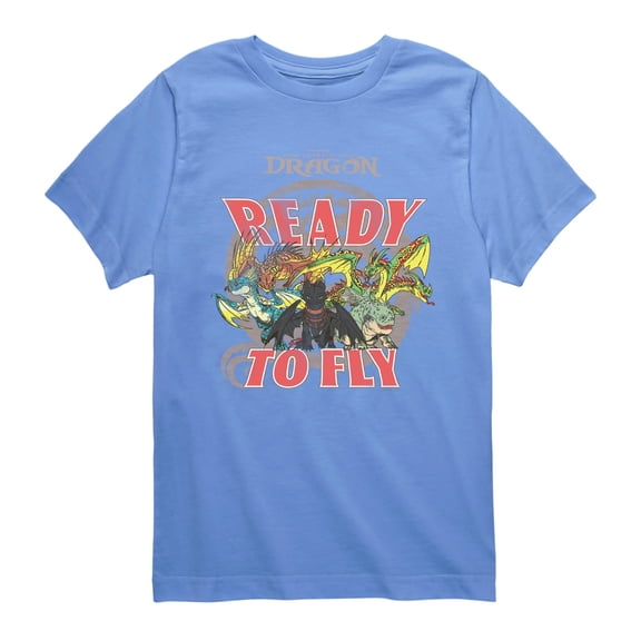 How to Train Your Dragon - Dragons of Berk - Youth Short Sleeve Graphic T-Shirt