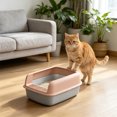 thumbnail image 4 of Open Top High Side Cat Litter Box, Semi-Enclosed Removable Pet Litter Tray, High-Sided Design Prevents Urine Leakage, Non-Stick, Easy to Clean, Indoor Cats Litter Pan, 4 of 6