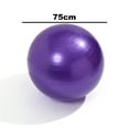 thumbnail image 2 of Total Body Balance Ball Kit - Includes Anti-Burst Stability Exercise Yoga Ball, Air Pump-purple-75cm, 2 of 5