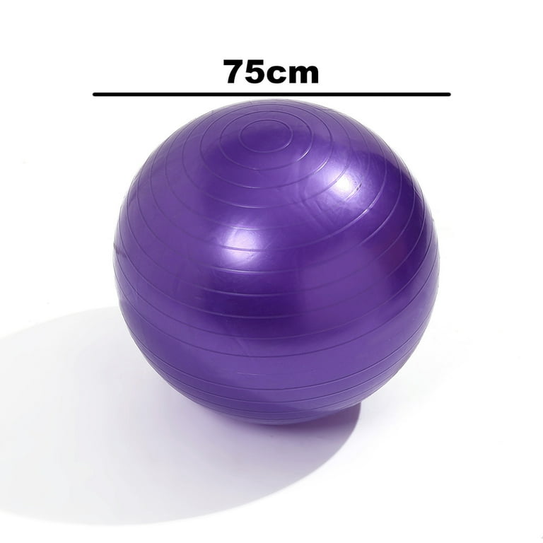 Total Body Balance Ball Kit - Includes Anti-Burst Stability