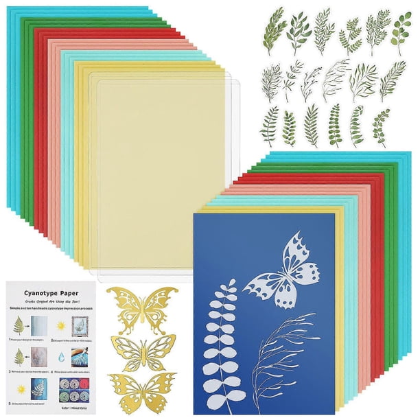 1 Set Cyanotype Printing Kit Diy Cyanotype Papers With Tools Sun Print Paper Kit For Handmade Floral Paper And Traditional Painting Material