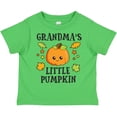 thumbnail image 3 of Inktastic Grandmas Little Pumpkin with Leaves and Stars Boys or Girls Toddler T-Shirt, 3 of 5