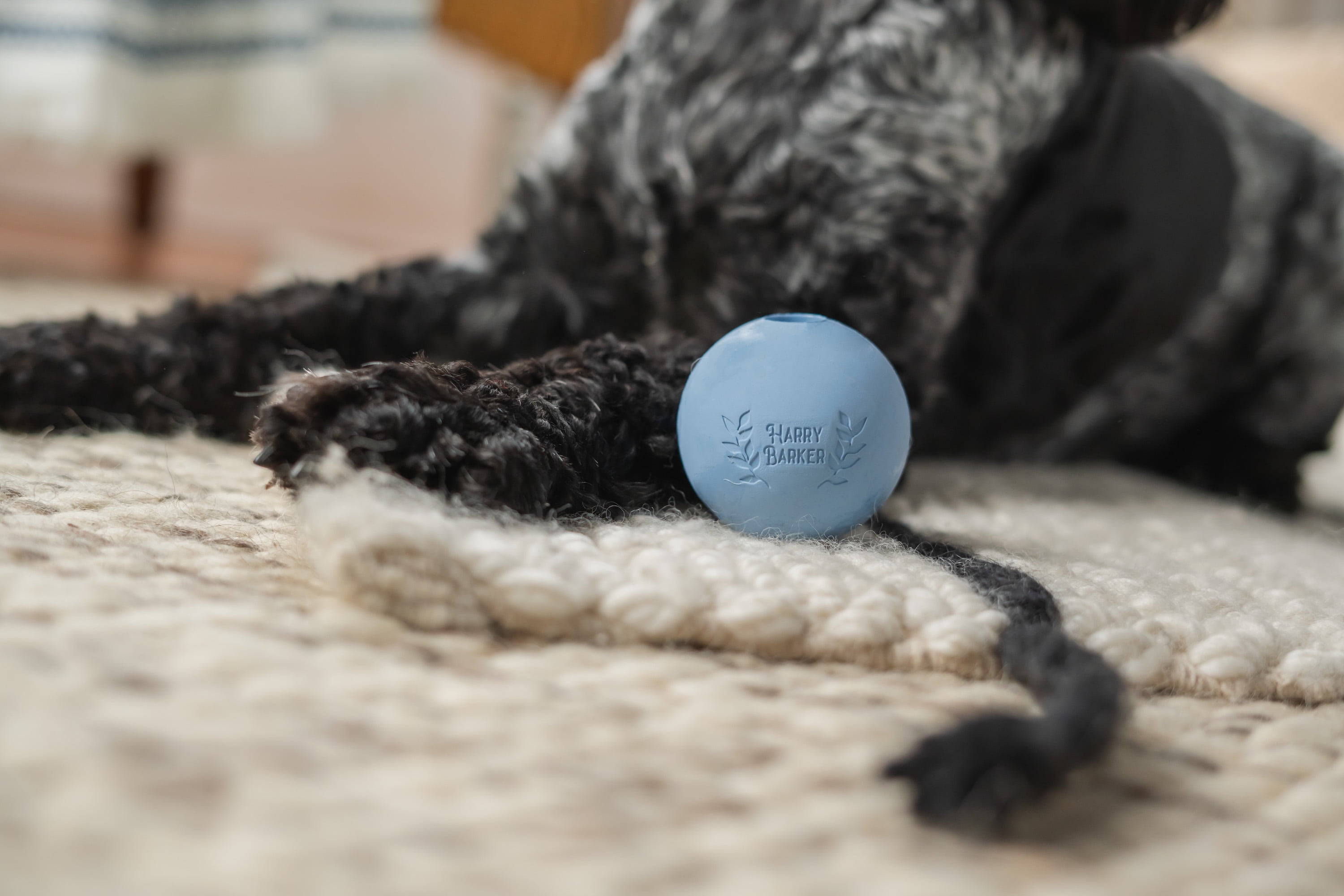 Harry Barker 2.5 Inch Durable All-Natural Rubber Dog Ball 6 Pack Set, Blue, Medium