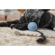 Harry Barker 2.5 Inch Durable All-Natural Rubber Dog Ball 6 Pack Set, Blue, Medium