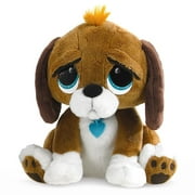 Rescue Pets Beagle