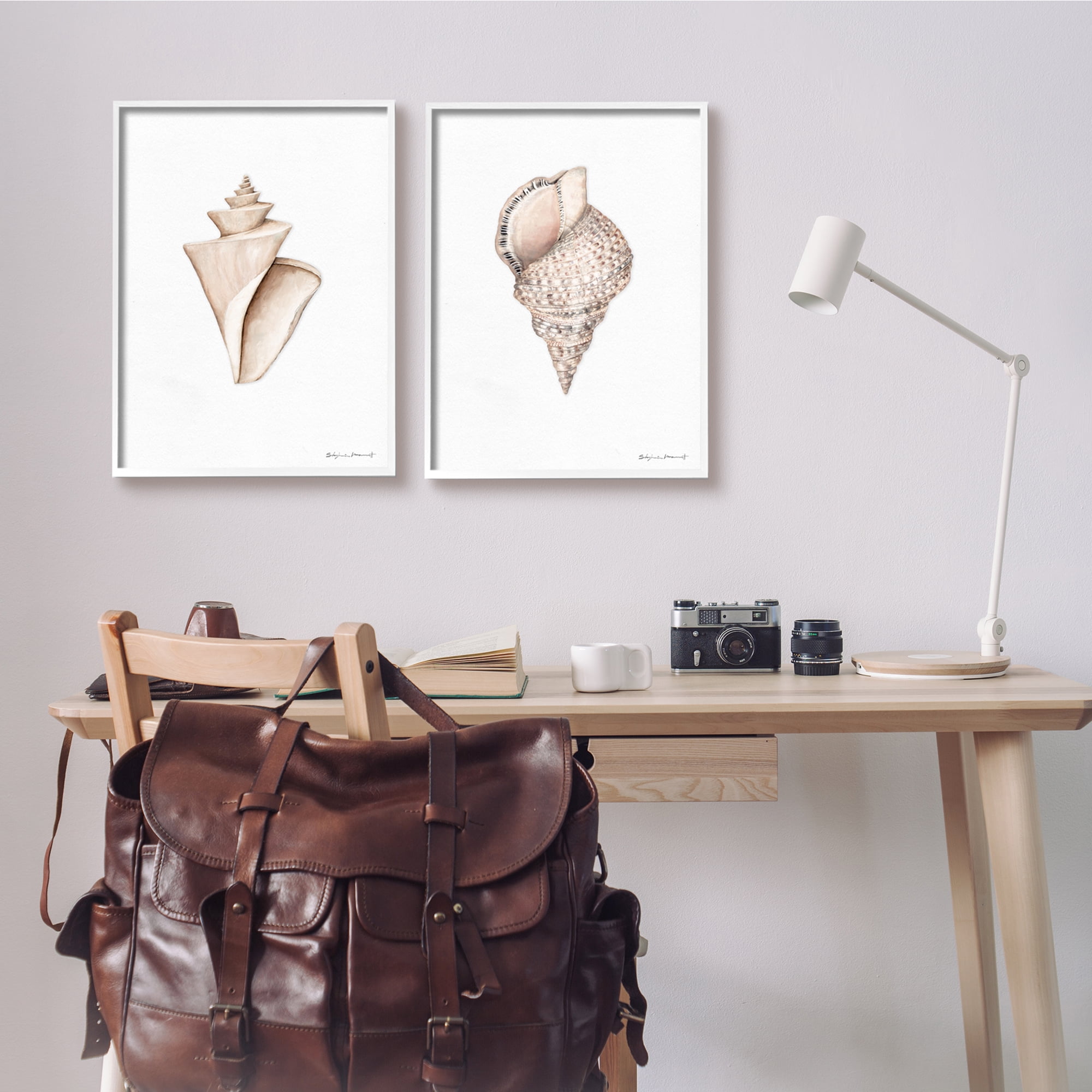 Stupell Industries Tranquil Spiral Sea Shells Soft Marine Life Illustration, 16 x 20, Design by Stephanie Workman Marrott