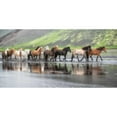 thumbnail image 3 of Burchett, P.H. 24x14 Black Modern Framed Museum Art Print Titled - Icelandic Horses XIV, 3 of 5