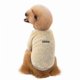 thumbnail image 1 of Ropa de Abrigo de Vellón KAIYANG Invierno para Mascotas Ropa de Perro de Peluche Doble Cara Albaricoque Grande Talla S M L XL XXL, 1 of 4