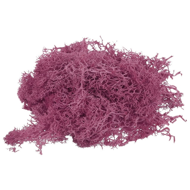 Unique Bargains Mousse Préservée 3.5 OZ Mousse Artificielle pour Projet Floral Décoration de Table Rose Rouge
