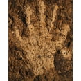 thumbnail image 2 of Flaherty, Dennis 15x18 Black Ornate Wood Framed with Double Matting Museum Art Print Titled - CA, Owens Valley, Bishop Prehistoric handprint, 2 of 4