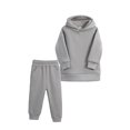 thumbnail image 1 of Sudadera Para Niños Pequeños Otoño Invierno Ropa Para Niños Traje Deportivo Suéter Informal Suéter Con Capucha Pantalones Conjunto De Dos Piezas Gris Odeerbi LM103-11172, 1 of 9