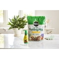 MiracleGro Indoor Potting Mix (6 qt.) and Indoor Plant Food (8 oz