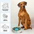 thumbnail image 3 of Comedero Lento para Mascotas Paw Perfect, Comedero Lento para Perros y Gatos, Grande 32oz, 3 of 8