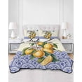 thumbnail image 3 of Lemon Twin XL Size Down Alternative Comforter,Lightweight Comforter Quilt Bedding Set with Pillow Shams Summer Vintage Yellow Fruits Italy Blue Textured All Seasons Bed Comforter Duvet Insert 68"x98", 3 of 7
