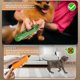thumbnail image 3 of 7 Speed Electric Rechargeable Cat Dog Nail Grinder Ultra-Quiet Low Vibration Comfortable Pet Spa Moments, 3 of 5