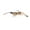 NATURAL SHRIMP, variant on Z-Man Prawnstarz - 5" - 1 Pack