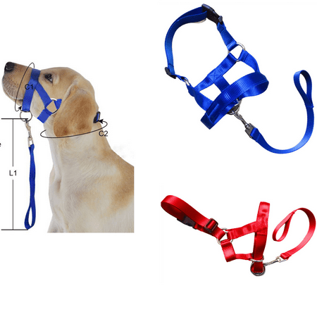 Dog Pet Head Collar Gentle Halter Leash Leader No Pull Harness Training ...
