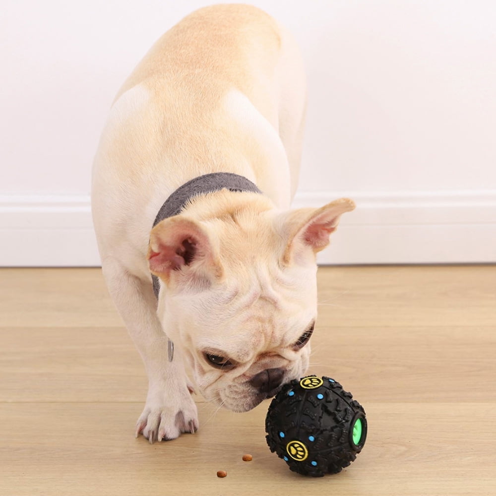 large dog water bowl