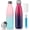 DRed+Spink, variant on Insulated Water Bottle, 17 oz Stainless Steel Water Bottles, Double Wall Vacuum Water Bottles Leak Proof Bottle Cup Keep Hot&Cold for Running Gym Workout Cycling