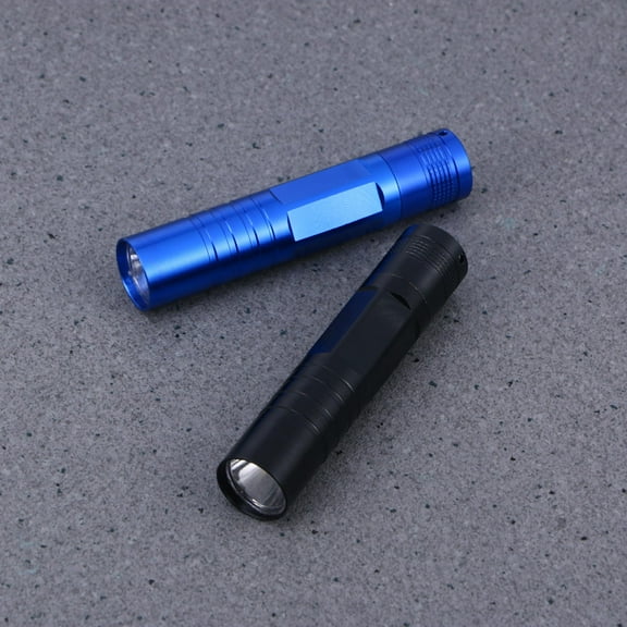 2 Pack Aluminum LED Mini Flashlight Small Handheld Pocket Light with Lanyard Keychain Fob for Camping Outdoor Emergency