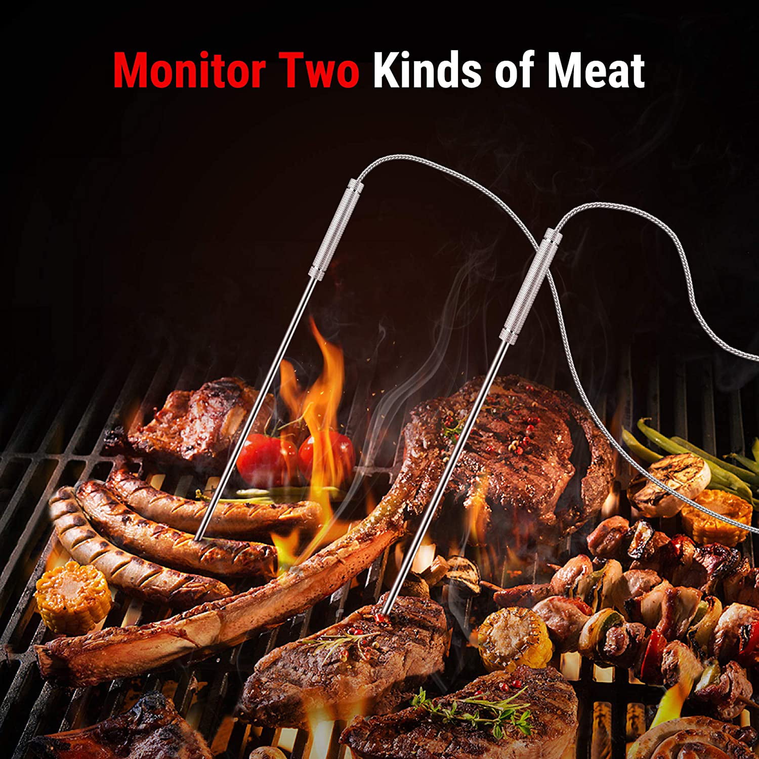Dual Probe Wireless Meat Thermometer w/ Probe Holder for BBQ Steak