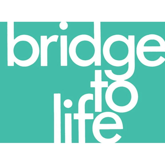 Bridge to Life (Green) 25-Pack, (Paperback)