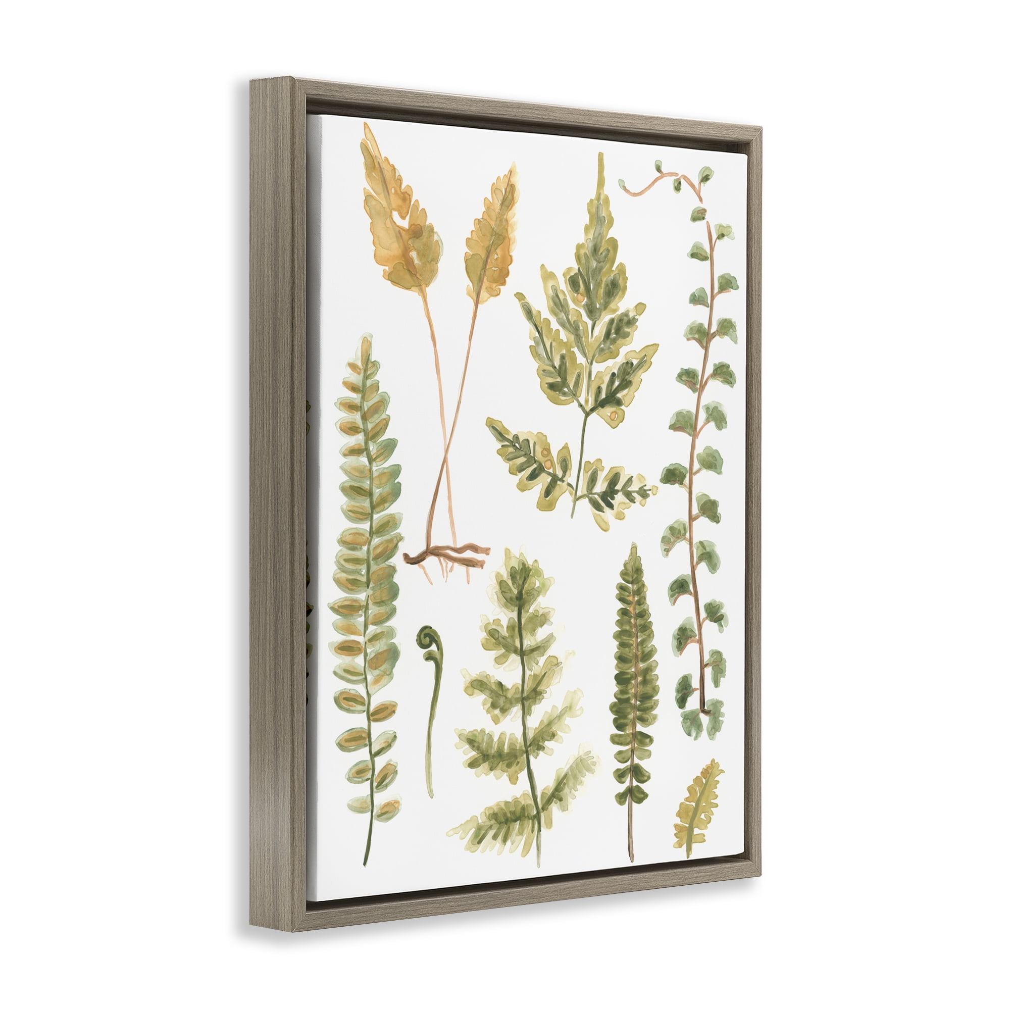 Stupell Industries Varied Fern Leaves Botanical & Floral Painting Brown Floater Framed Art Print Wall Art, 17 x 21