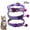 Purple, variant on CHBORLESS 3 Pcs Nylon Reflective Cat Collar with Bell Adjustable Kitten Puppy Collars,Sky Blue