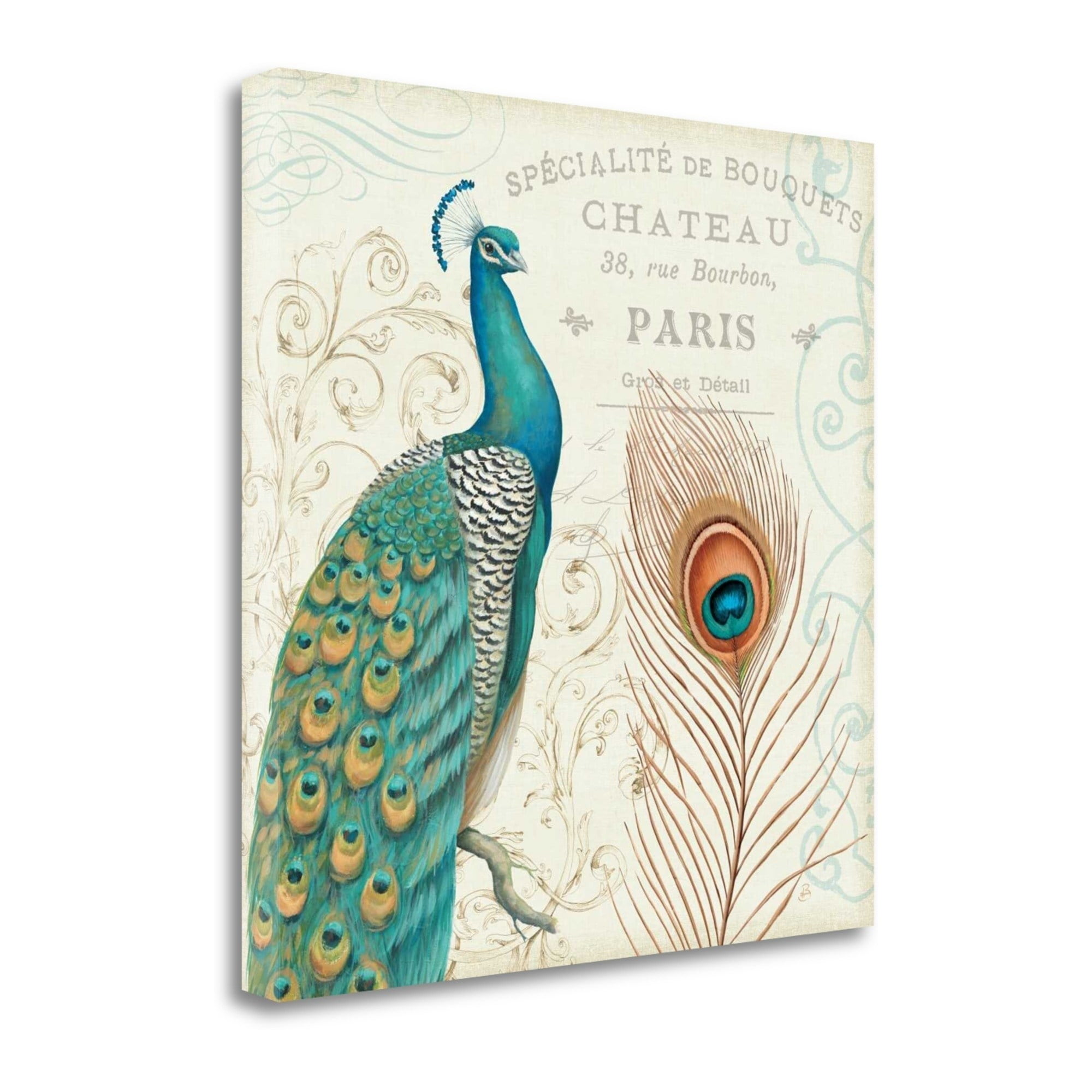 Tangletown Fine Art Majestic Beauty I Graphic Art Print On Canvas Walmart Com Walmart Com