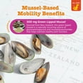 thumbnail image 4 of Zesty Paws Mussel Hip & Joint Bites for Dogs, Functional Dog Supplement Promotes Mobility and Flexibility, Chicken Flavor, 90ct, 4 of 12