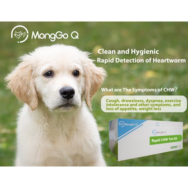 how can i test my dog for heartworms at home