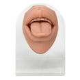 thumbnail image 2 of Tongue Mouth Model, Lifelike Tongue Model Soft Structure Learning Highly Simulation Silicone With Acrylic Bracket For Research ANGGREK No, 2 of 7