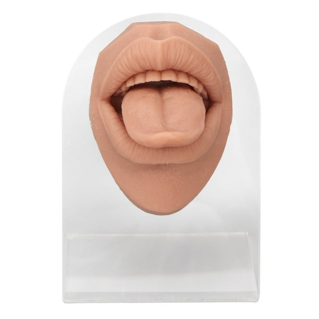 Modèle de Languette en Silicone Modèle de Languette Modèle de Languette Humaine Modèle de Support en Acrylique en Silicone Souple et Réaliste Modèle de Bouche pour Affichage de Bijoux