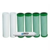Watts Premier One Year Green Carbon Annual Filter Kit