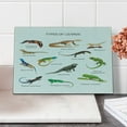 thumbnail image 2 of Reptile Cutting Board, Lizard Family Design on Plain Background Prehistoric Camouflage Exotic Creatures, Decorative Tempered Glass Cutting and Serving Board, Small Size, Multicolor, by Ambesonne, 2 of 5