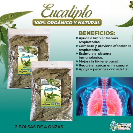 Hojas de Eucalipto 8 oz. 227gr. (2/4 oz) Organic Herb Tea Eucalyptus Dried Whole Leaves By Natural de Mexico