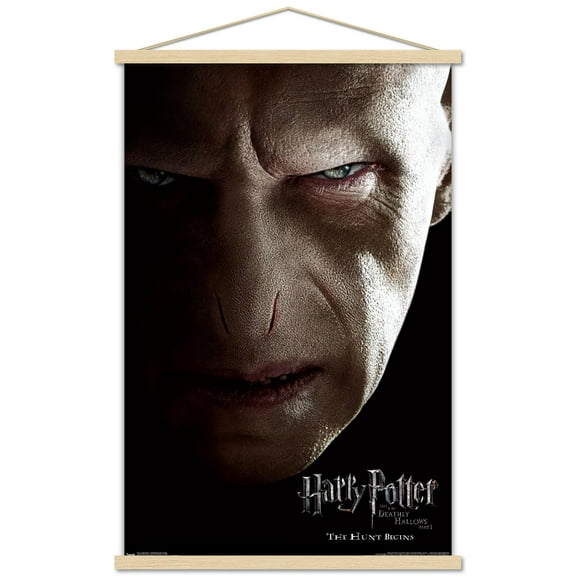 Harry Potter and the Deathly Hallows: Part 1 - Voldemort One Sheet