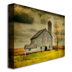 Lois Bryan 'Old Barn on Stormy Afternoon' Canvas Art