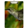 thumbnail image 2 of FMSHPON Humming Bird Clipboard Hardboard Wood Nursing Clip Board and Pull for Standard A4 Letter 13x9 inches, 2 of 7