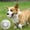 Gray, variant on Byujiro Paw Print Dog Tennis Ball Solid Elastic Ball Interactive Fetch & Chew Toys for Small to Medium Dogs